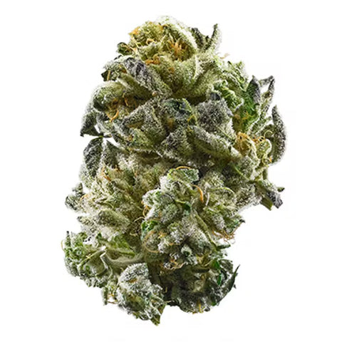 Amaretto Mintz [I] 31.46% THCa