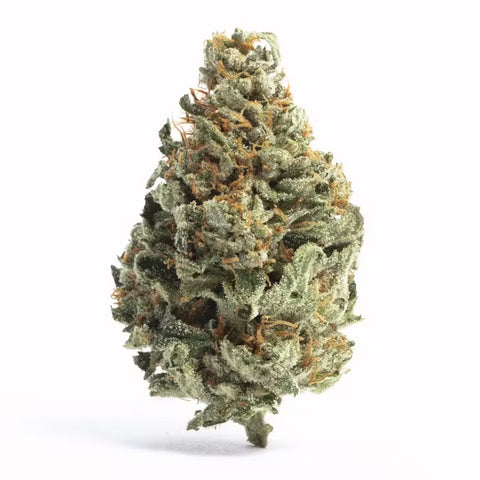 Future x Dosi [H] 23.93% THCa