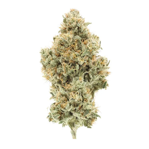 Zoap [H] 23.48% THCa