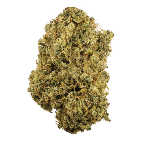 Durban Poison [S] 25.4% THCa