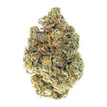 GovernMint Oasis [H] 31.11% THCa