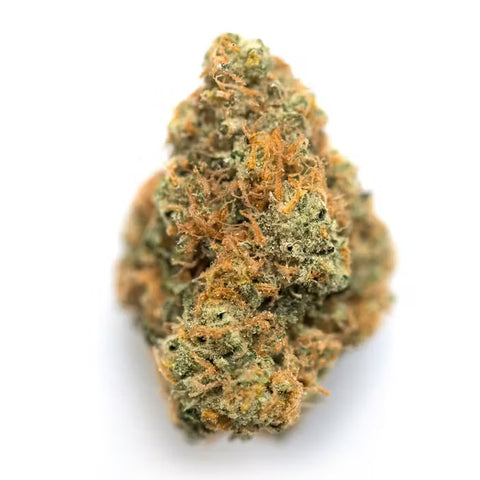 Orange Soda [SH] 26.4%THCa